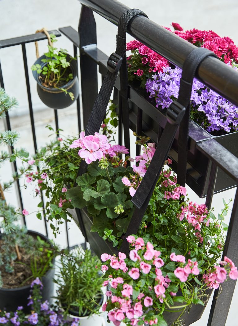 Blomster i altankasser og krukker på altan